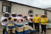 برگزاری کارگاه عملی پرورش زنبورعسل و تولید عسل ارگانیک