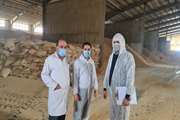 بازدید رئیس بخش نظارت بر بهداشت عمومی اداره کل دامپزشکی از شرکت های خوراک دام و طیور و فرآورده های خام دامی