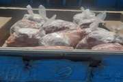 ضبط و معدوم سازی بیش از 250 کیلوگرم گوشت گوساله در شهرستان نظرآباد 