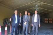 بازدید معاون وزیر  و رئیس سازمان دامپزشکی کشور از شرکت نوجان در استان البرز