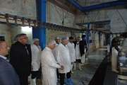 بازدید مدیرکل دامپزشکی البرز از روند کشتار طیور در طرح تشدید نظارت‌های بهداشتی رمضان و نوروز
