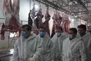 بازدید معاونت بهداشتی و پیشگیری و مدیرکل دفتر نظارت بر بهداشت عمومی و مواد غذایی سازمان دامپزشکی کشور از کشتارگاه دام کرج