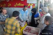 گزارش تصویری بازدید کارشناسان از مراکز عرضه فرآورده های خام دامی