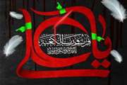 پیام تسلیت مدیر کل دامپزشکی استان البرز به مناسبت شهادت امام علی (ع)