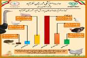 ارائه طرح گرافیکی موجودی طیور اداره دامپزشکی شهرستان نظرآباد