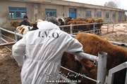 جلسه کارگروه توسعه مدیریت و منابع