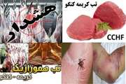 پیشگیری از ابتلا به بیماری تب کریمه کنگو با تهیه گوشت قرمز از مراکز تحت نظارت دامپزشکی