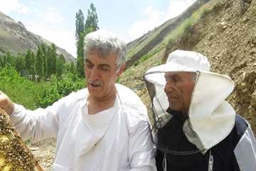 زنبورستان جاده چالوس(نمونه برداری)