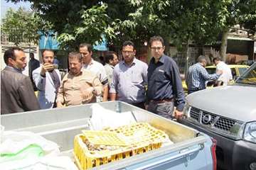 طرح جمع آوری پرندگان غیر مجاز در کرج