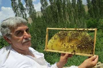 زنبورستان جاده چالوس(نمونه برداری)