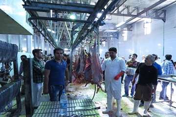 مراسم عید قربان سال 1393