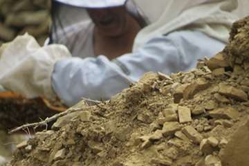 زنبورستان جاده چالوس(نمونه برداری)