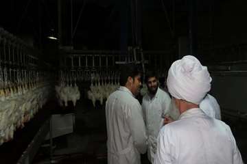 بازدید مسئول دفتر نمایندگی ولی فقیه از کشتارگاهها