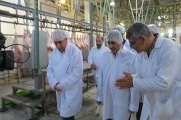 بازدید استاندار البرز از کشتارگاه صنعتی دام استان