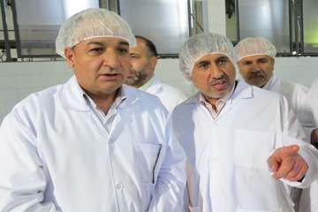 بازدید استاندار البرز از کشتارگاه صنعتی دام استان