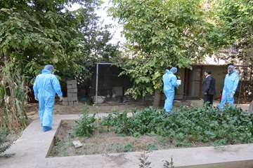 طرح ملی واکسیناسیون طیور روستایی علیه بیماری نیوکاسل