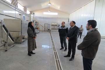 بازدید مدیرکل از کارخانه تولید خوراک دام