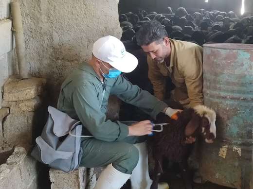 واکسیناسیون رایگان در هفته دولت