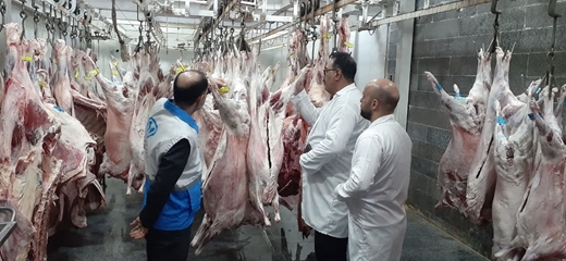 گزارش تصویری بازدید کارشناسان از مراکز عرضه فراورده های خام دامی، بسته بندی و... در ایام عید