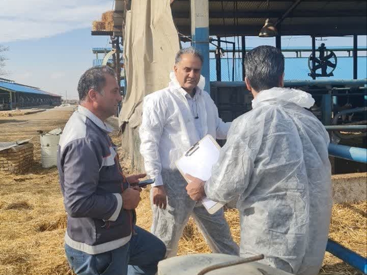 بازدید رئیس و معاون اداره دامپزشکی شهرستان نظرآباد از دامداری های بزرگ شهرستان نظرآباد 