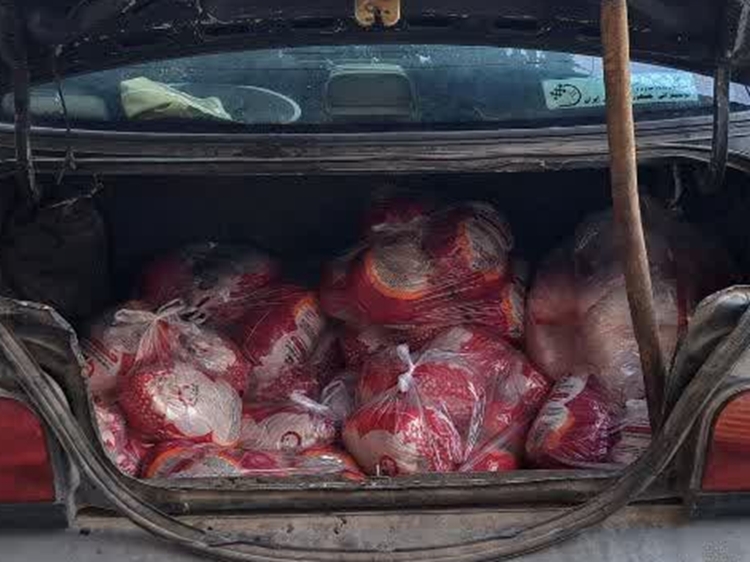  کشف ومعدوم سازی محموله مرغ فاسد در شهرستان چهارباغ